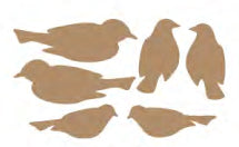 Collections - Nesting Birds - Pack 24