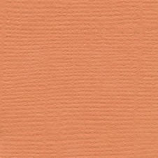 Bazzill - Apricot - 12x12"