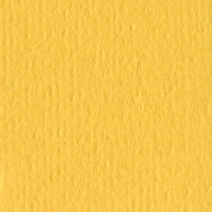 Bazzill - Lemonade - 12x12"
