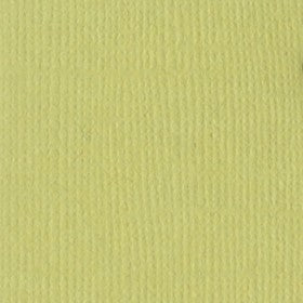 Bazzill - Palm - 12x12" Cardstock