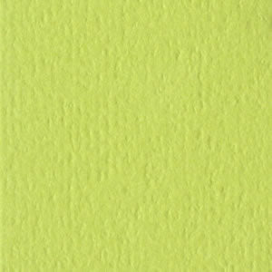 Bazzill - Green Tea - 12x12"