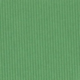 Bazzill - Washboard Texture - Grass Green - 12x12"