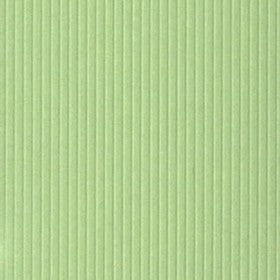 Bazzill - Washboard Texture - Apple Green - 12x12"