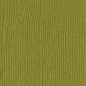 Bazzill - Pickle - 12x12" Cardstock