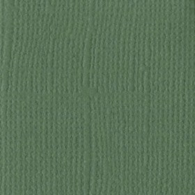 Bazzill - Fern - 12x12" Cardstock