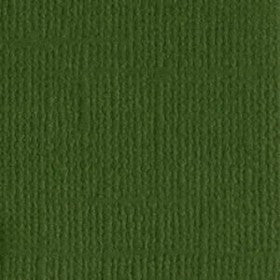 Bazzill - Ivy - 12x12" Cardstock