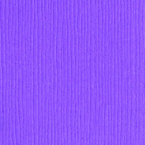 Bazzill - Snapdragon - 12x12"