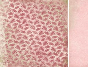 KaiserCraft - English Rose Collection - Estelle - Paper 12x12" - P598