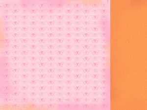 KaiserCraft - Paper 12x12" Tigerlilly Collection - Flamingo