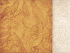 KaiserCraft - Paper 12x12" Great Southern Land Collection - NT