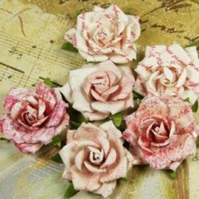 Prima - Belle Artes - Poetry