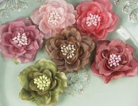 Prima - Flowers - Roosevelt - Eleanor