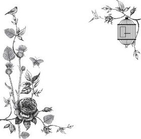 KaiserCraft - Secret Garden - Printed Acetate - Specialty Paper 12x12"